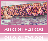Vai al sito sulla steatosi